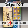 Delgra DXT new06